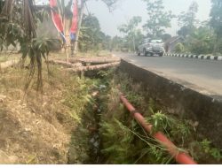 Duh! Sudah Lama Rusak, Drainase di Jalan Soekarno Hatta Kotaagung Belum Juga di Perbaiki