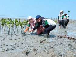 Tim PKM Itera Terapkan Inovasi Pelindung Pantai Natural