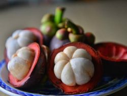 Selain Dapat Mengatasi Kanker, Ini 7 Manfaat Buah Manggis Untuk Kesehatan