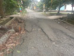 Lapor Pak! Kerusakan Jalan Pekon Karta Kian Parah