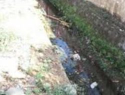 Warga Pekon Tugurejo Harapkan Pembangunan Saluran Drainase