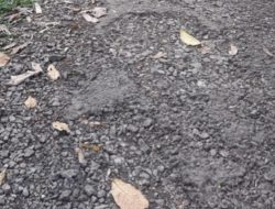 Warga Pekon Kusa, Harapkan Pembangunan Jalan Pertanian