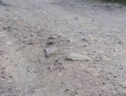 Ruas Jalan Lintas Pekon Rusak, Warga Harapkan Pembangunan