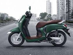 Diluncurkan Sejak 2010, Berikut Daftar Harga Motor Honda Scoopy Baru dan Bekas di Lampung 