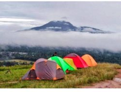 4 Tempat Wisata Hits di Lampung Barat, Ada Pemandangan Kabut-Sunset di Kebun Kopi Robusta