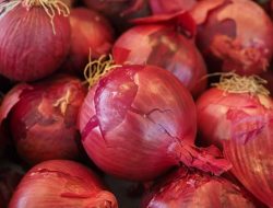 Selain Dapat Menjaga Kesehatan Jantung, Ini 6 Manfaat Bawang Merah Untuk Kesehatan
