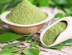 Selain Dapat Membantu Melancarkan Produksi ASI, Ini 7 Manfaat Daun Kelor untuk Kesehatan Tubuh