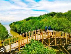 Ini 3 Rekomendasi Wisata di Brebes Yang lagi Hits dan Cocok untuk Liburan Keluarga