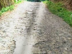 Ruas Jalan Lintas Pekon Rusak, Warga Harapkan Pengaspalan