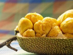 5 Manfaat Buah Cempedak untuk Kesehatan Tubuh, Salah Satunya Dapat Mengobati Malaria