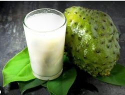 Wajib Tahu, Ini 6 Manfaat Jus Buah Sirsak untuk Kesehatan Tubuh