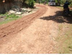 Warga Pekon Tengor, Harapkan Pembangunan Jalan Penghubung Antar Dusun