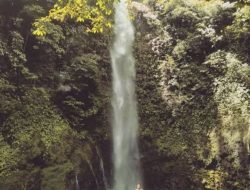 9 Wisata Air Terjun Hits di Kabupaten Tanggamus, Dengan Ragam Pesona