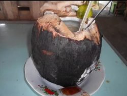 5 Manfaat Kelapa Bakar Untuk Kesehatan