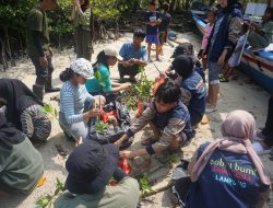 Tim PPK Ormawa Unit Selam Itera Tanam 1.000 Bibit Mangrove di Pulau Pahawang
