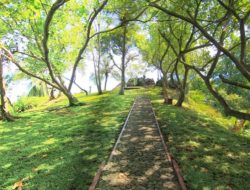 4 Rekomendasi Tempat Wisata Alam di Kota Padang, Dijamin Bikin Liburan Anda Berkesan