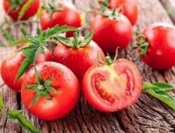 7 Manfaat Tomat untuk Kesehatan dan Kecantikan, Salah Satunya Bisa Mencerahkan Kulit