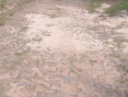 Ruas Jalan Penghubung Antar Dusun Rusak, Warga Harapkan Pembangunan