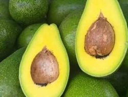 7 Manfaat Buah Alpukat untuk Kesehatan Tubuh, Salah Satunya Baik Buat Kesehatan Janin