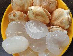 6 Manfaat Buah Lontar untuk Kesehatan Tubuh, Salah Satunya Bisa Mencegah Dehidrasi