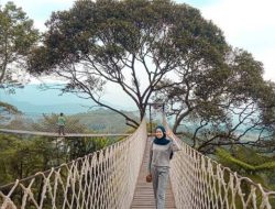 3 Rekomendasi Wisata Jembatan di Kota Bogor, Cocok untuk Healing