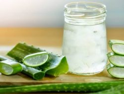 7 Manfaat Lidah Buaya untuk Kesehatan dan Kecantikan, Salah Satunya Bisa Menghaluskan Kulit Wajah