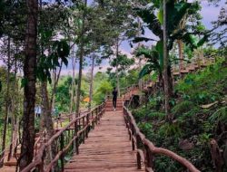 5 Tempat Wisata Populer di Lampung, Cocok di Kunjungi Saat Liburan