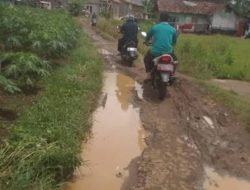 Warga Pekon Sukamerindu, Harapkan Pembangunan Jalan Menuju Pendidikan