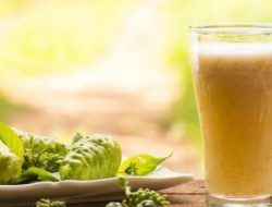 Jarang Disadari! Ini 7 Manfaat Jus Mengkudu untuk Kesehatan Tubuh