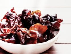 Jarang Diketahui! Ini 7 Manfaat Jamur Kuping untuk Kesehatan Tubuh