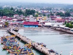 Ada 13 Pekon dan 3 Kelurahan di Kota Agung Tanggamus, Berikut Daftar Namanya