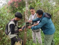 Beruang Muncul di Pemukiman Warga, Petugas Pasang Kamera Trap