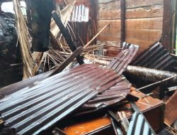 Angin Kencang, Pohon Kelapa Tumbang, Timpah Rumah Warga di Pekon Teba Bunuk Tanggamus