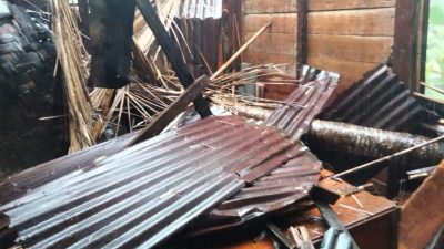 Angin Kencang, Pohon Kelapa Tumbang, Timpah Rumah Warga di Pekon Teba Bunuk Tanggamus