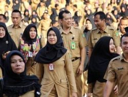 Pemkab Tanggamus Buka 220 Formasi PPPK Tahun 2024, untuk Guru Tersedia 70 Formasi