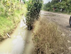 Warga Pekon Kanoman, Harapkan Pembangunan Saluran Drainase Permanen