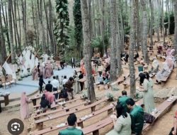 4 Rekomendasi Wisata Hutan Pinus di Yogyakarta, Nomor 3 Cukup Populer di Kalangan Wisatawan