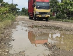 Miris, Jalan Lintas Pekon Kanoman-Sedayu Bertahun-tahun Dibiarkan Rusak, Warga Semaka Mengeluh