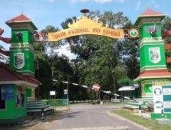 5 Tempat Wisata Hits di Lampung, Nomor 1 Cukup Populer di Kalangan Wisatawan