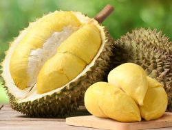 Ketahui! Ini Bahaya Mengkonsumsi Buah Durian Secara Berlebihan