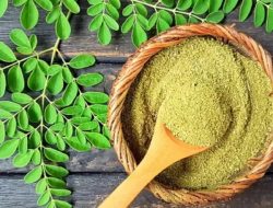 Selain Melancarkan Produksi ASI, Berikut 5 Khasiat Daun Kelor untuk Kesehatan 