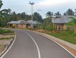 7 Kecamatan dengan Jalan Terpanjang di Kabupaten Tanggamus, Nomor Satu Pugung 93,93 km