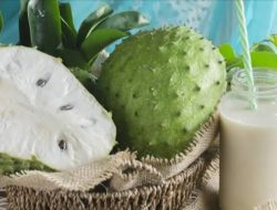 6 Manfaat Jus Buah Sirsak untuk Kesehatan Tubuh, Salah Satunya Bisa Mencegah Sel Kanker