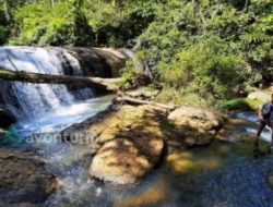 6 Rekomendasi Wisata Air Terjun di Tanggamus, Nomor 2 Cukup Populer di Kalangan Wisatawan