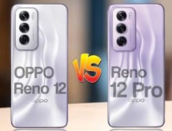 Mengusung desain Trendi Layar lengkung Oppo Reno 12 dan 12 Pro: Simak Spek Fitur dan Harganya di Akhir Tahun 2024