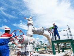 PGEO Mulai Eksplorasi Panas Bumi di Gunung Tiga Ulubelu Tanggamus