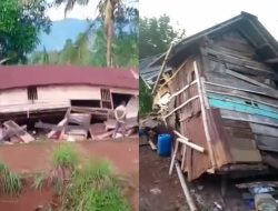 Ngamuk Lagi, Kawanan Gajah Rusak 7 Rumah Warga di Kawasan Blok 4 Tanggamus