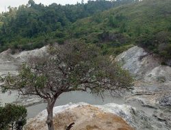 Mau Nyembuhin Penyakit Kulit? Coba Berendam di Pemandian Air Panas Gemburak Lampung Barat