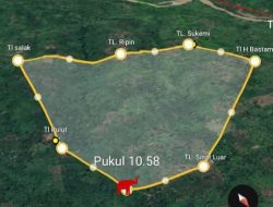 UPDATE Lokasi Gajah Liar Tanggamus, Minggu 5 Januari 2024 : Masih di Talang Pulut dan Talang Sinar Luar