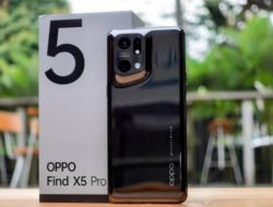 Memiliki RAM Besar dengan Layar Amoled Resolusi Tinggi, Ini 3 HP Oppo dengan Kemera Setara DSLR